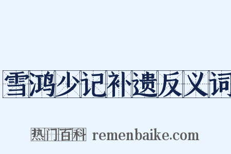 雪鸿少记补遗反义词是什么意思的图片